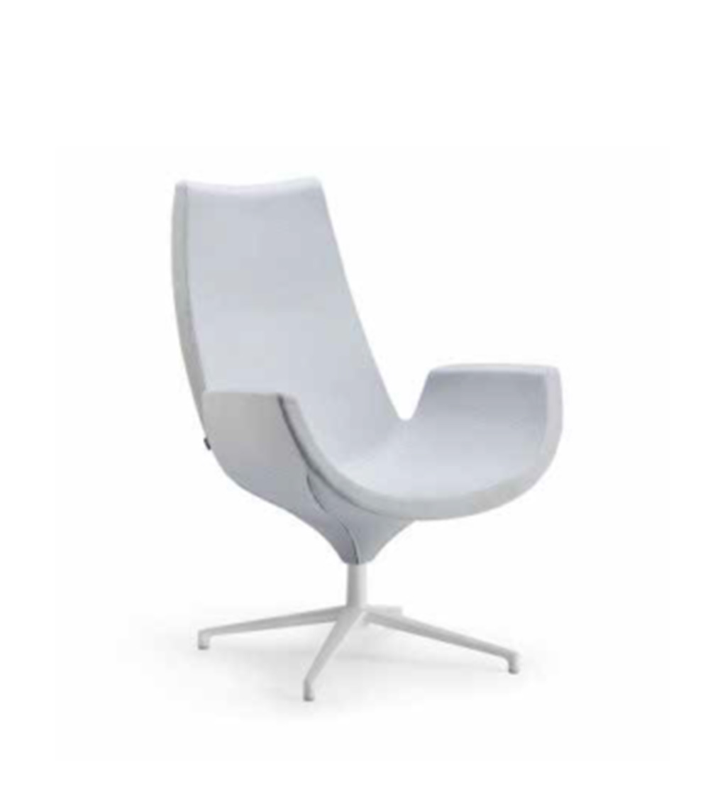 Silla Beetle